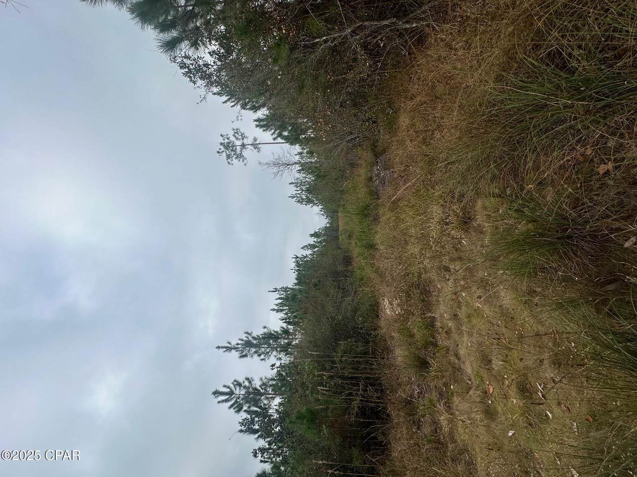 00 Fl-71 - Photo 1