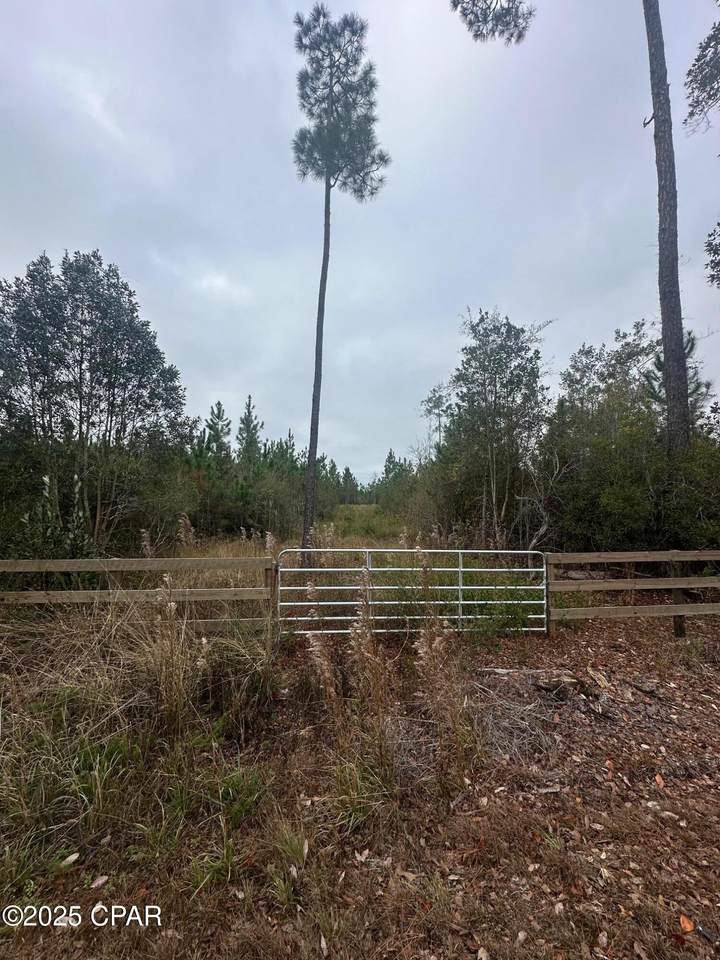 https://bt-photos.global.ssl.fastly.net/panamacity/1280_boomver_1_782410-2.jpg