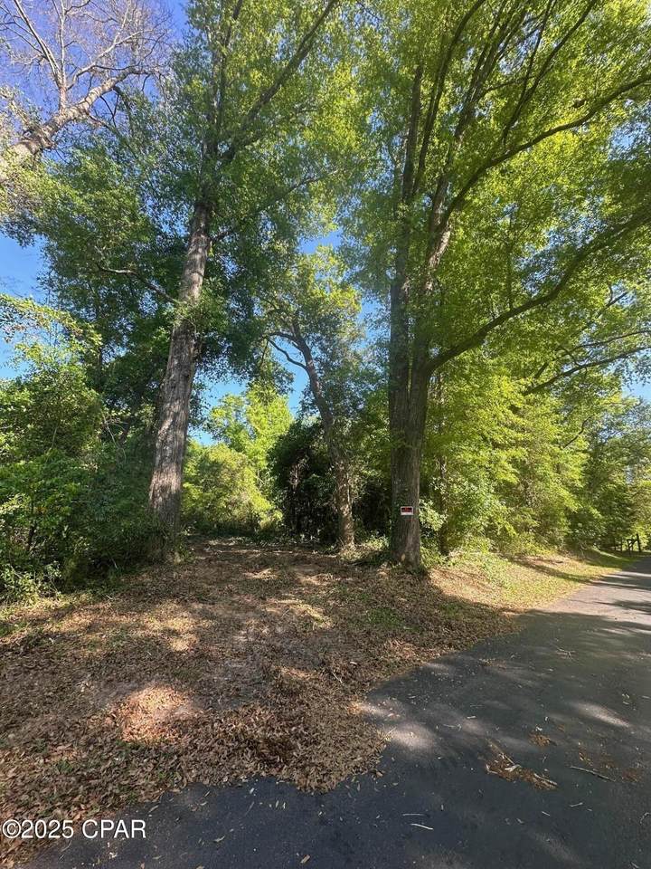 00 Marcus Drive - Photo 1