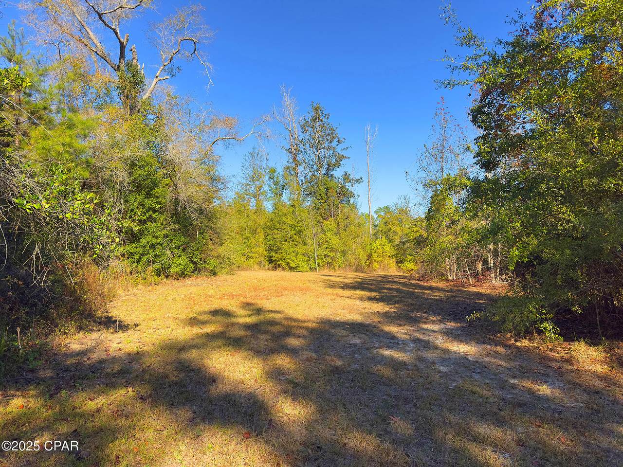 https://bt-photos.global.ssl.fastly.net/panamacity/1280_boomver_1_782880-2.jpg