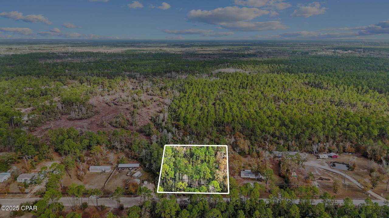 371 Newman Point Road - Photo 1