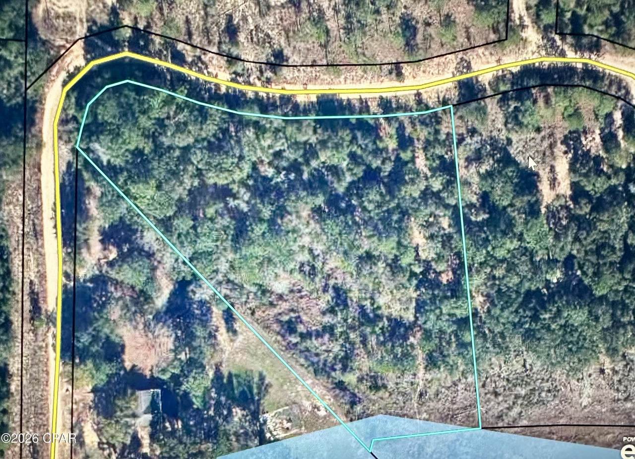Lot 40 Grassy Pond Road - Photo 1