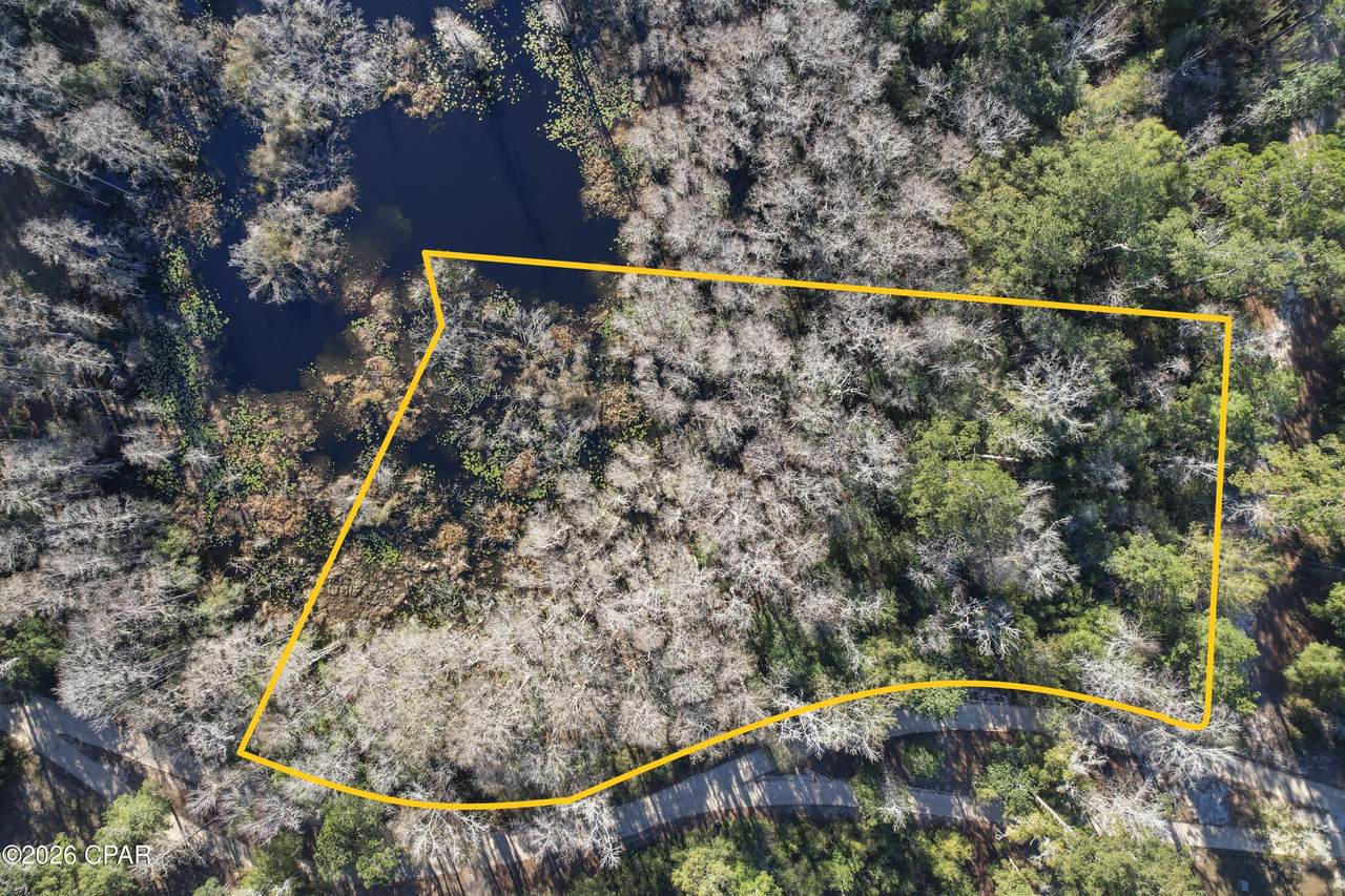 000 Lot 1 Cypress - Photo 1