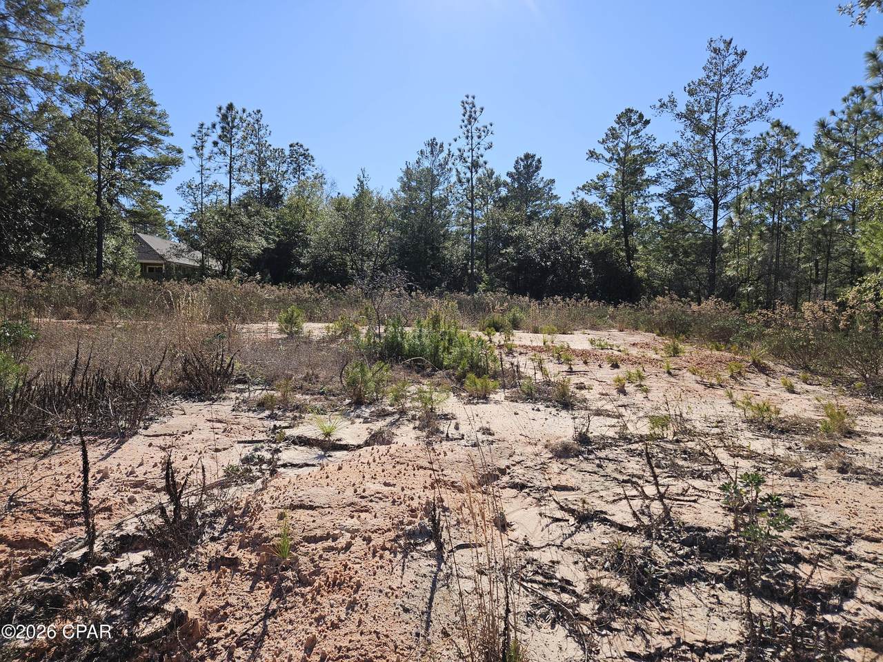 2245 Shenandoah Boulevard - Photo 1