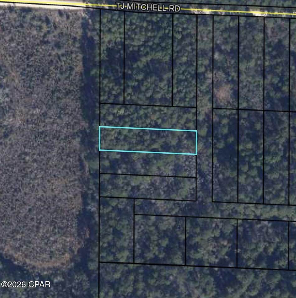 000 T J Mitchell Road - Photo 1