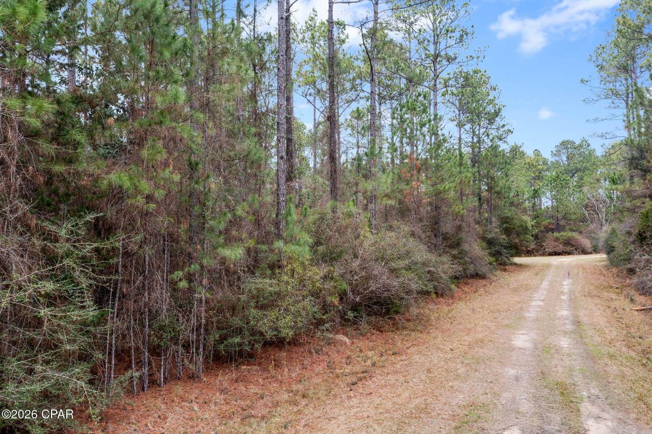 https://bt-photos.global.ssl.fastly.net/panamacity/1280_boomver_1_784148-2.jpg