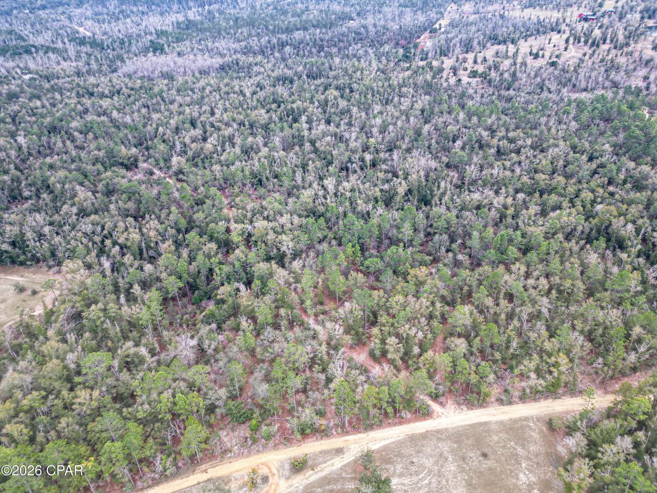 3340 Varsey Lane - Photo 1