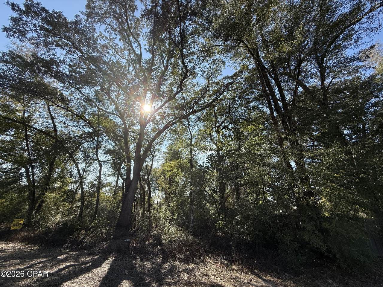 0001 Appalachee Trail - Photo 1