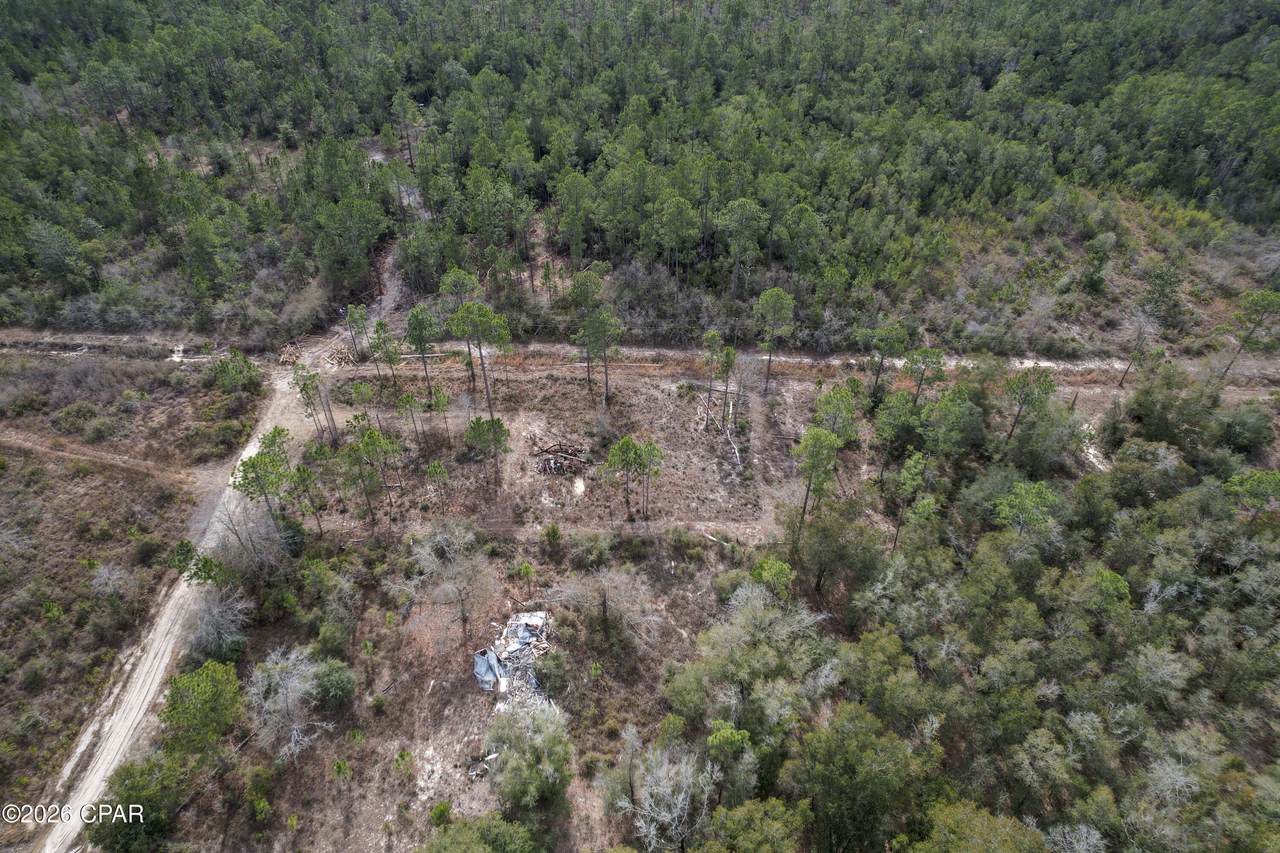 21101 Joann Lane - Photo 1