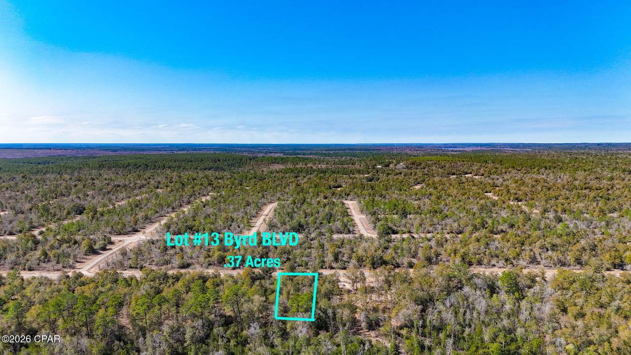 Lot 13 Byrd Boulevard - Photo 1