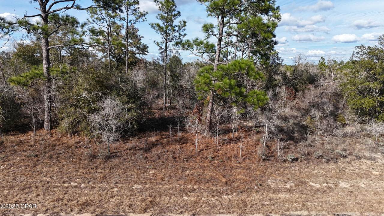 00 Bluestone Drive - Photo 1