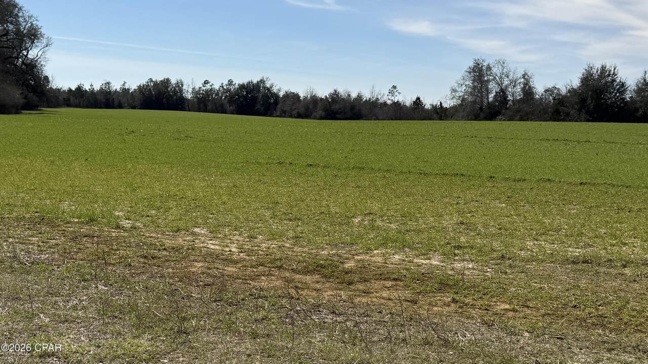 https://bt-photos.global.ssl.fastly.net/panamacity/1280_boomver_1_785857-2.jpg