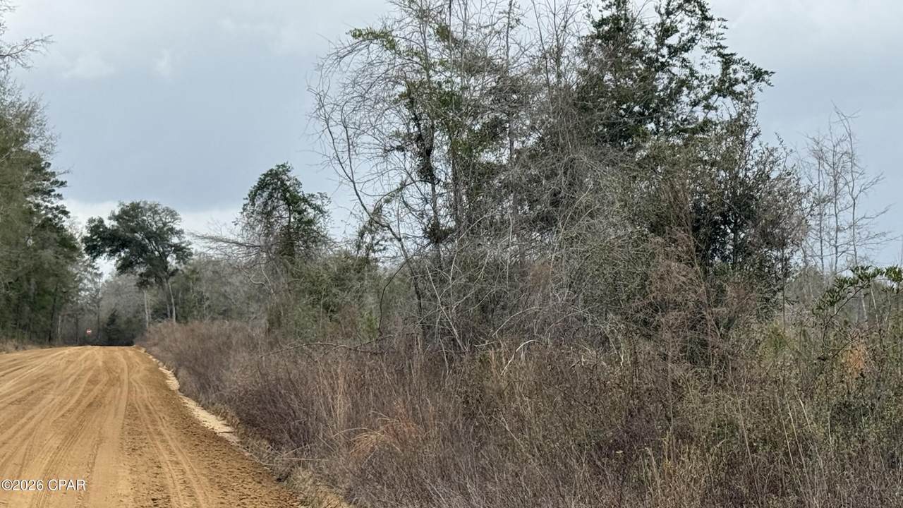 0000 Christmas Road - Photo 1