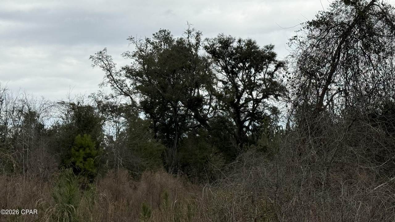 https://bt-photos.global.ssl.fastly.net/panamacity/1280_boomver_1_785887-2.jpg
