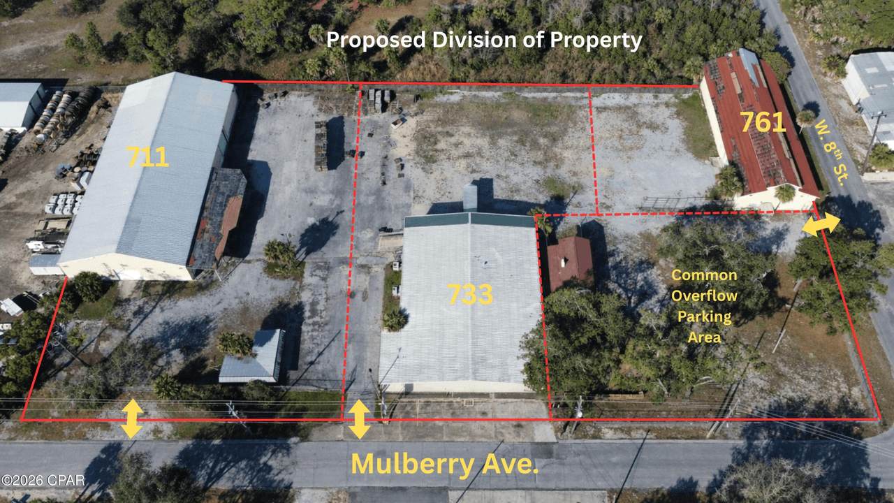 711 Mulberry Avenue - Photo 1