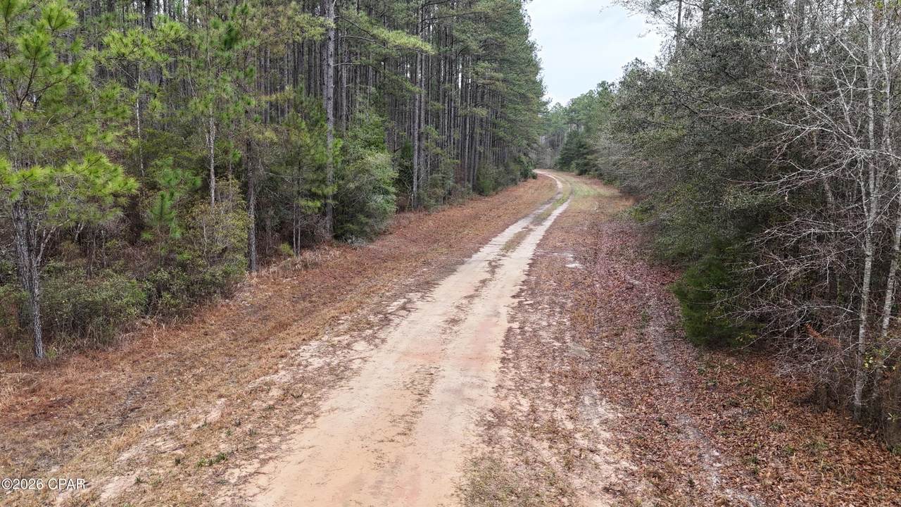 https://bt-photos.global.ssl.fastly.net/panamacity/1280_boomver_1_785903-2.jpg