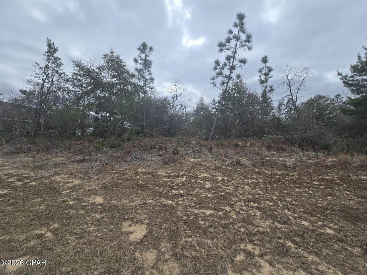 https://bt-photos.global.ssl.fastly.net/panamacity/1280_boomver_1_785916-2.jpg