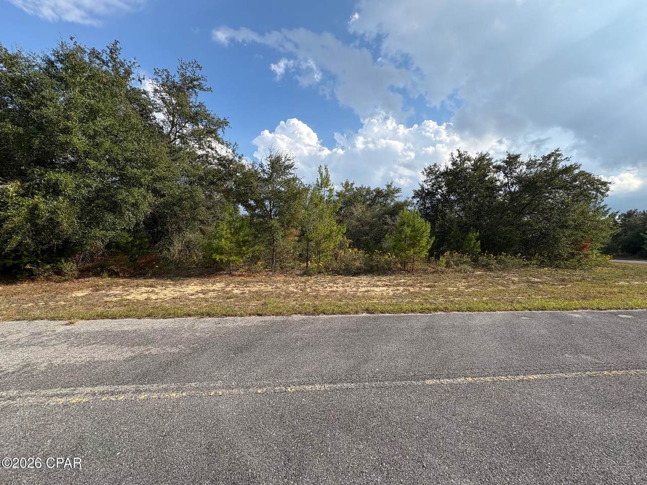 LOT 17 Jupiter Circle - Photo 1