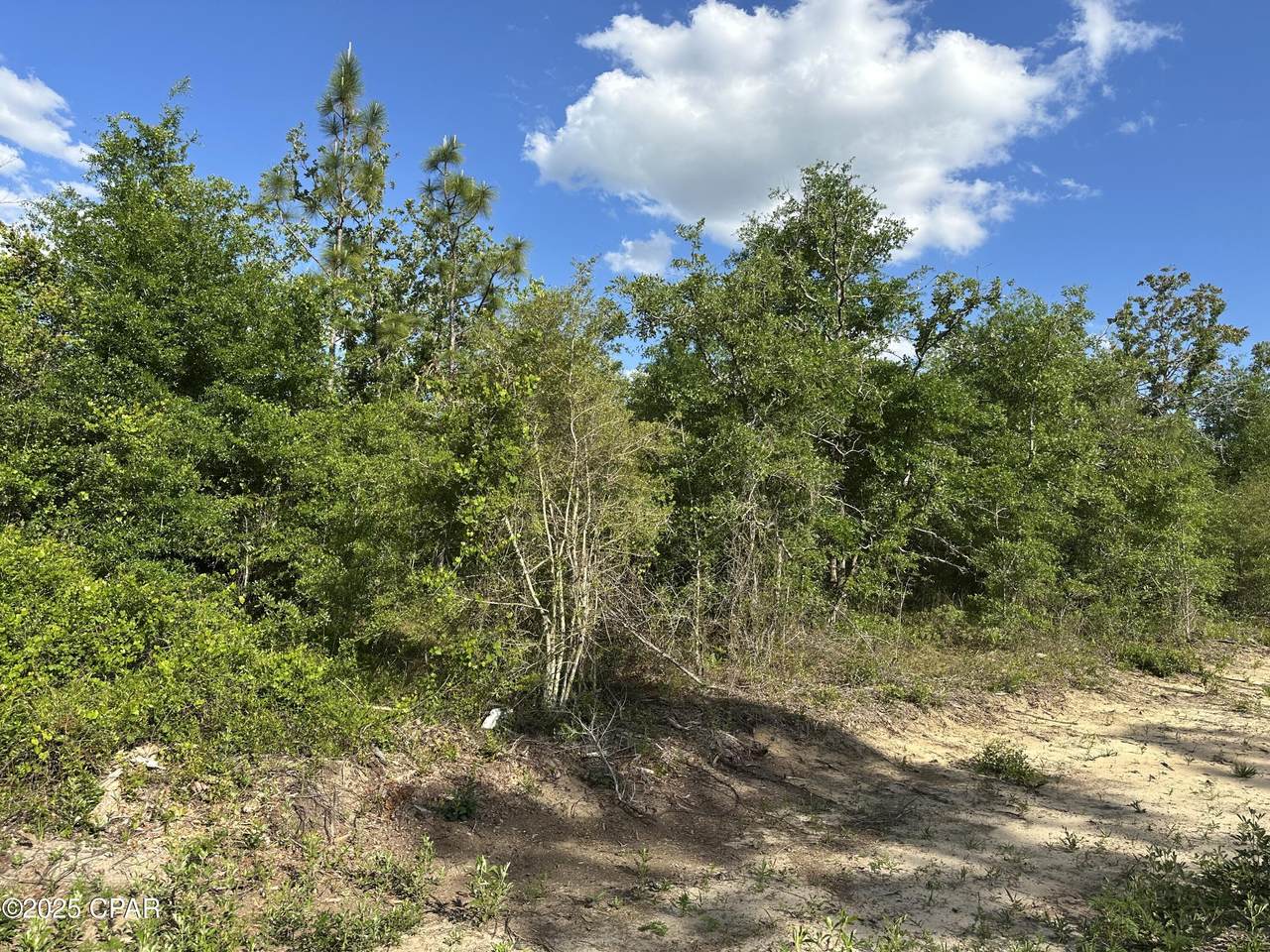 0000 Lakeside Avenue - Photo 1