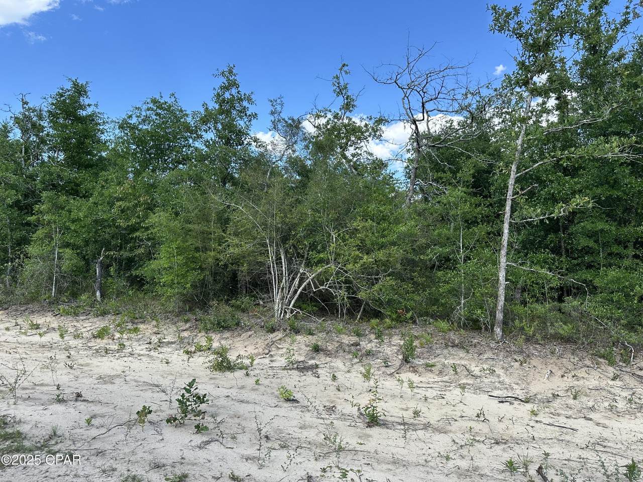 https://bt-photos.global.ssl.fastly.net/panamacity/1280_boomver_1_786266-2.jpg