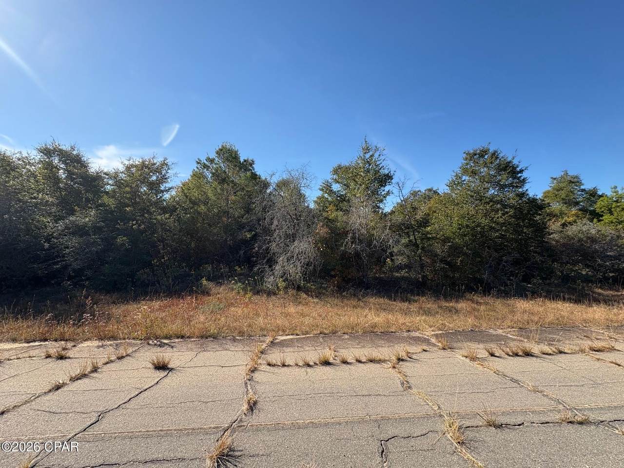 LOT 6 Brighton Avenue - Photo 1