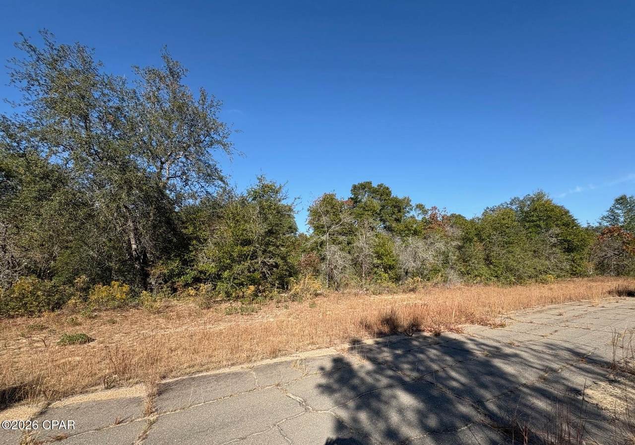 LOT 38 Hunter Circle - Photo 1