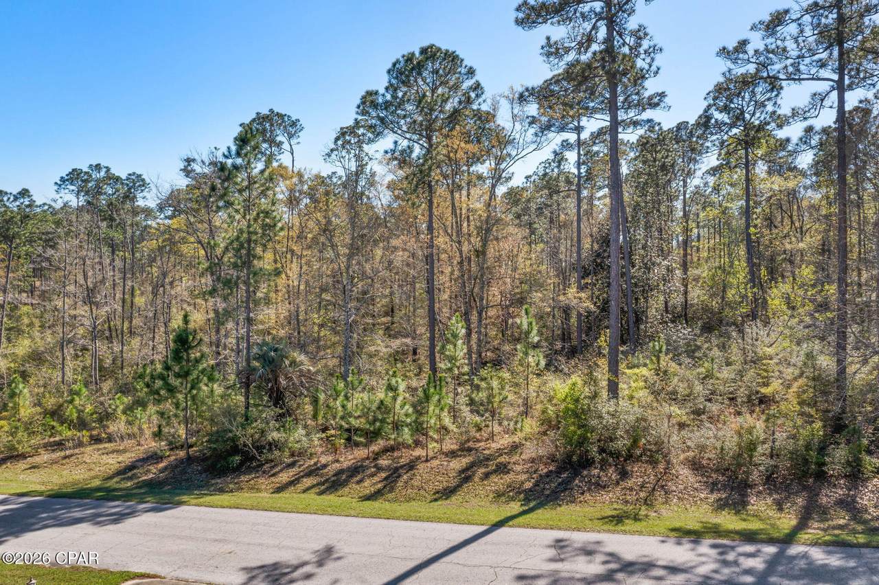 XXX Pine Bluff Drive - Photo 1