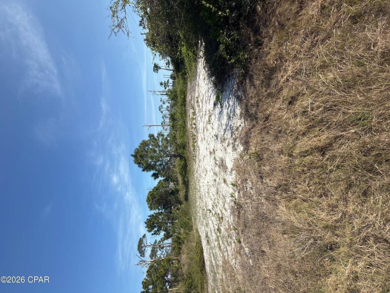TBD Cape San Blas Road - Photo 1