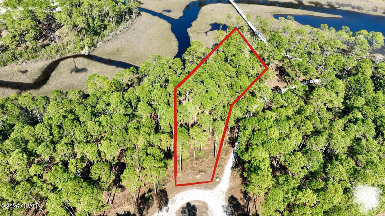 6400 Sundew Marsh Trail - Photo 1