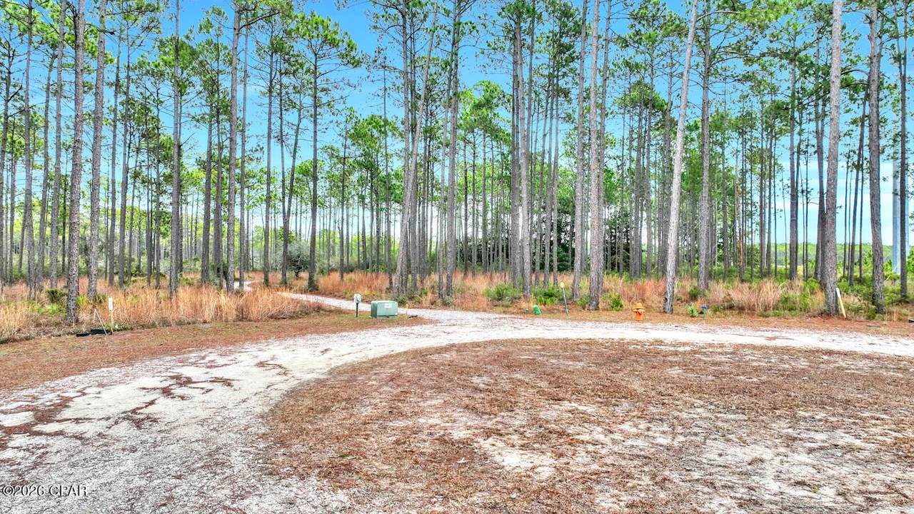 https://bt-photos.global.ssl.fastly.net/panamacity/1280_boomver_1_787770-2.jpg