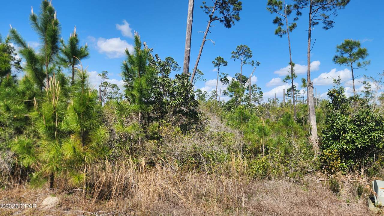 https://bt-photos.global.ssl.fastly.net/panamacity/1280_boomver_1_787793-2.jpg