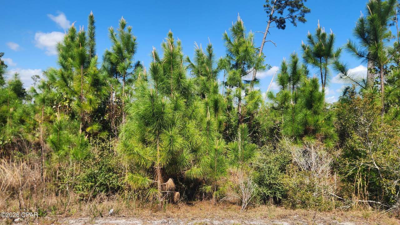 https://bt-photos.global.ssl.fastly.net/panamacity/1280_boomver_1_787793-2.jpg