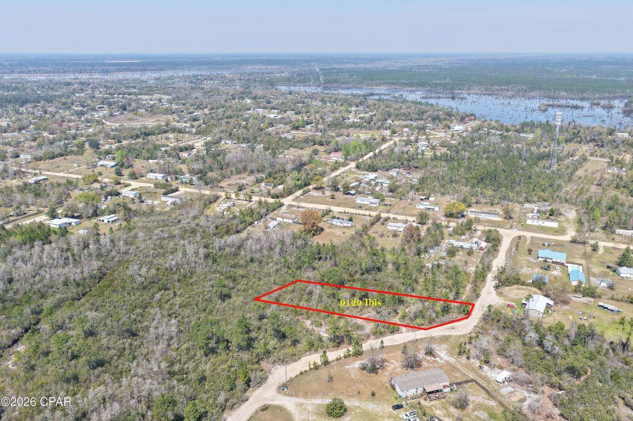 9129 Ibis Lane - Photo 1