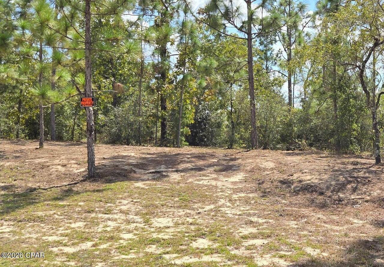 Lot 6 Trellis Drive - Photo 1