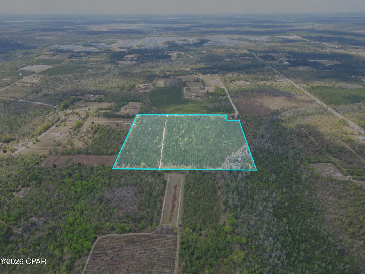 37 Acres Melvin Road - Photo 1