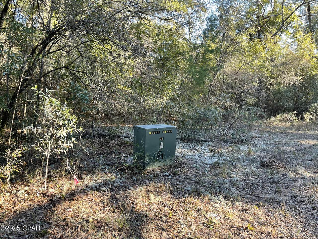 https://bt-photos.global.ssl.fastly.net/panamacity/1280_boomver_1_788299-2.jpg