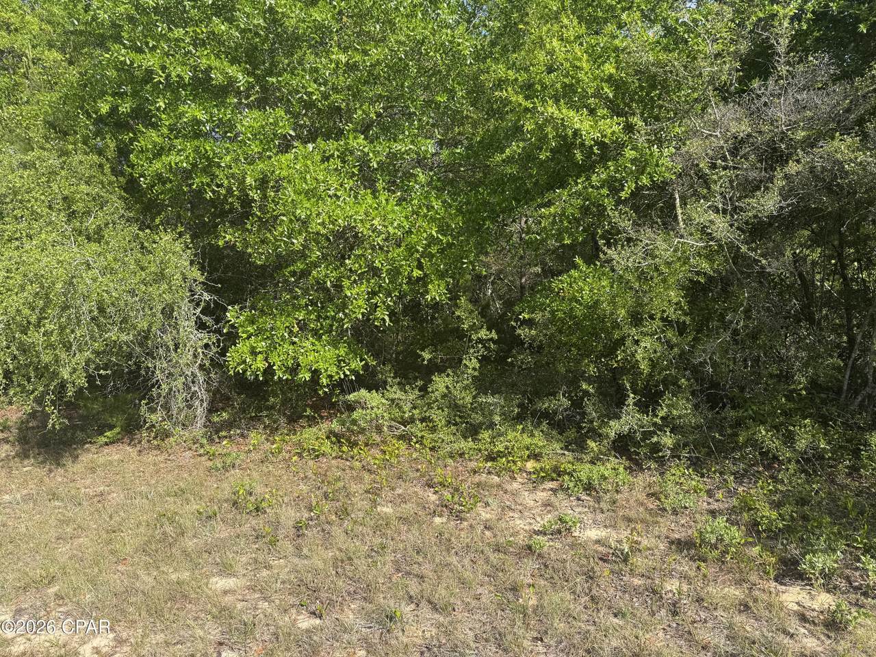 0000 Devonshire Drive - Photo 1