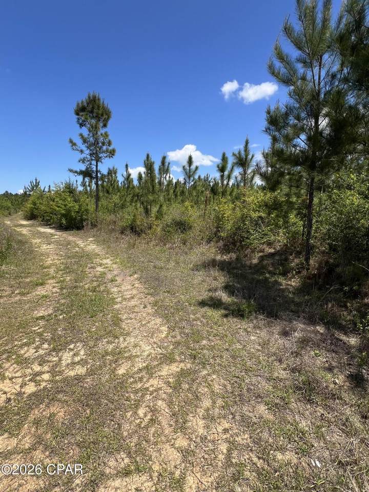 https://bt-photos.global.ssl.fastly.net/panamacity/1280_boomver_1_788666-2.jpg