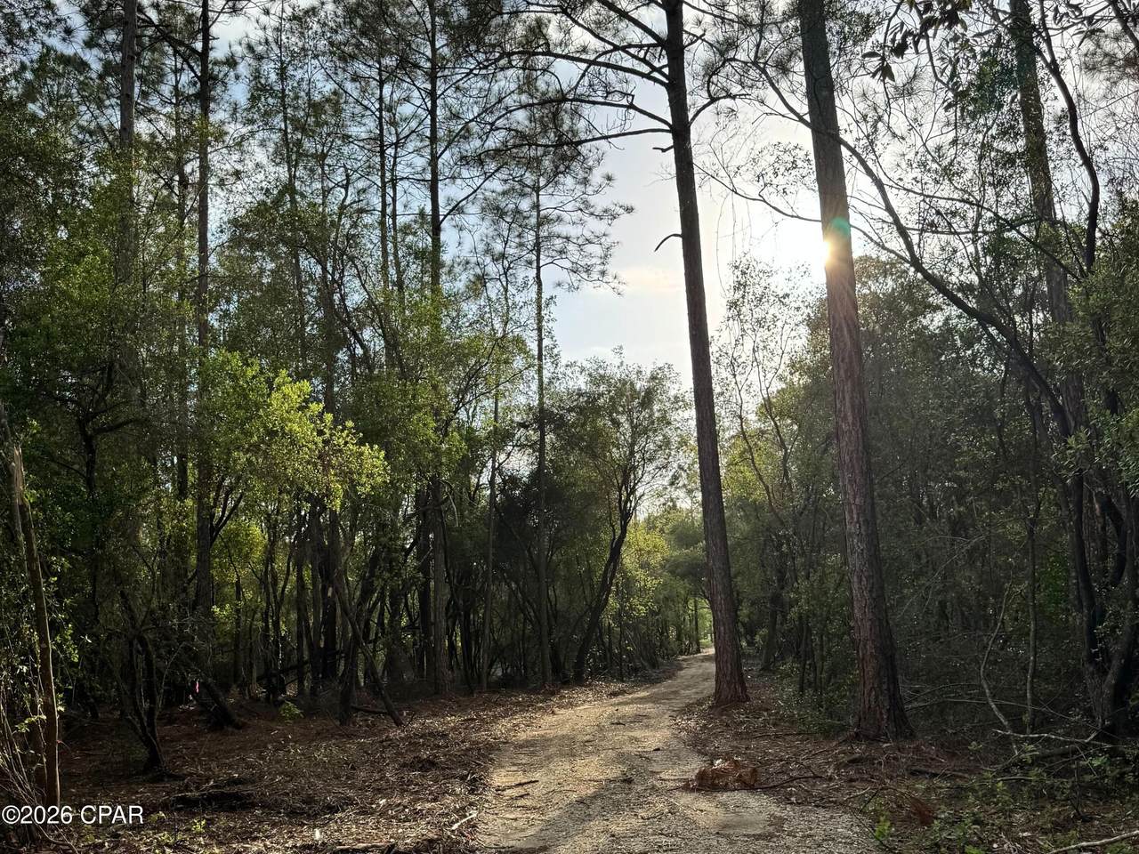 Lot 9 Pleasant Hill Road - Photo 1