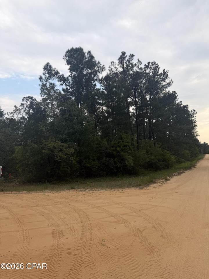 000 Deshutes Drive - Photo 1