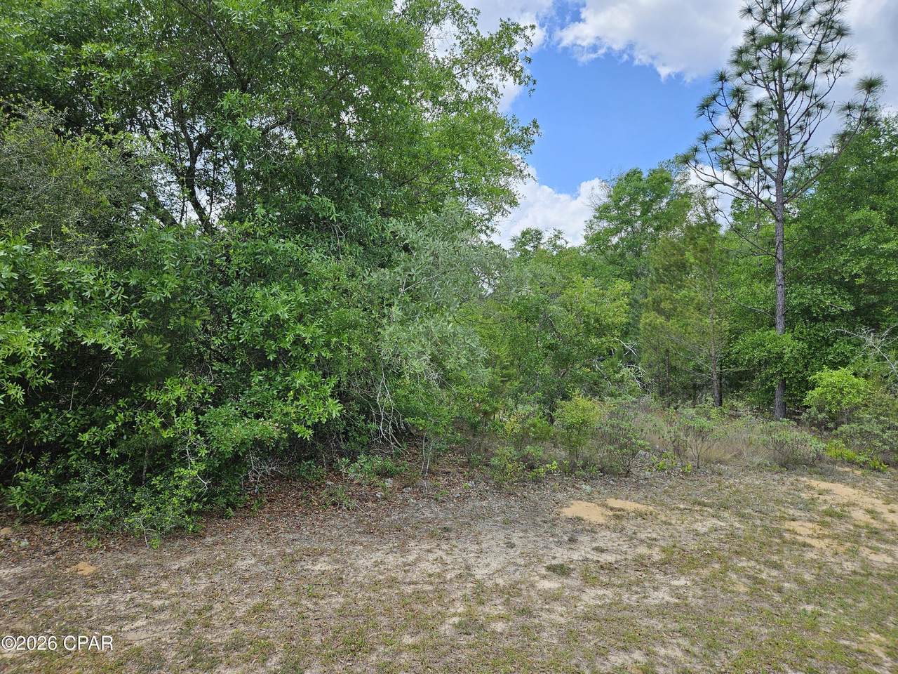 https://bt-photos.global.ssl.fastly.net/panamacity/1280_boomver_1_788826-2.jpg