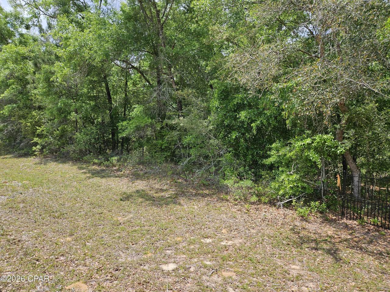 Lot 04 Malone Place - Photo 1