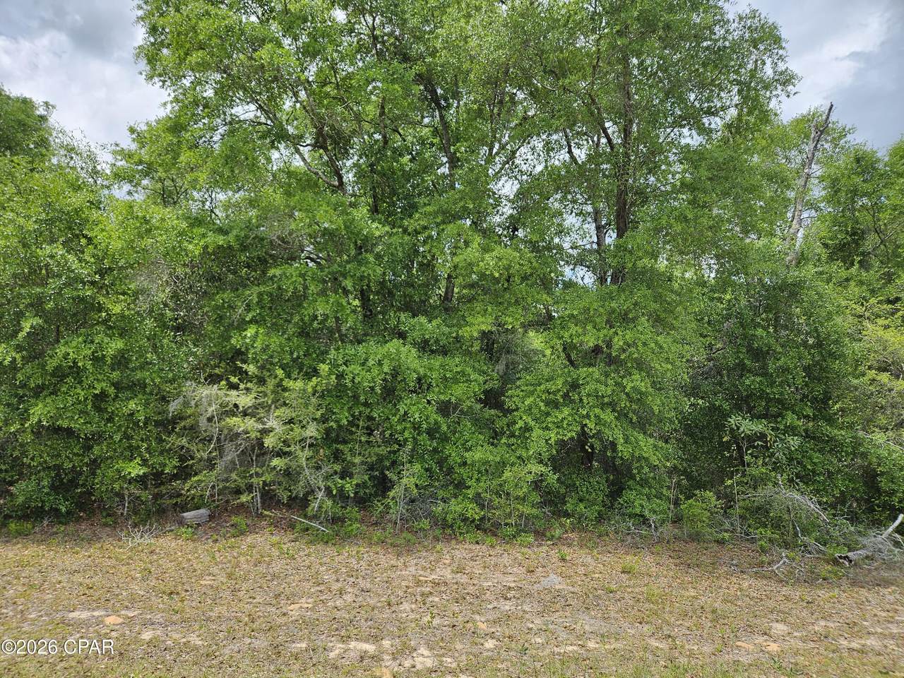 Lot 06 Malone Place - Photo 1