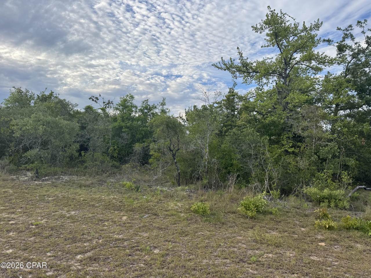0000 Washington Boulevard - Photo 1