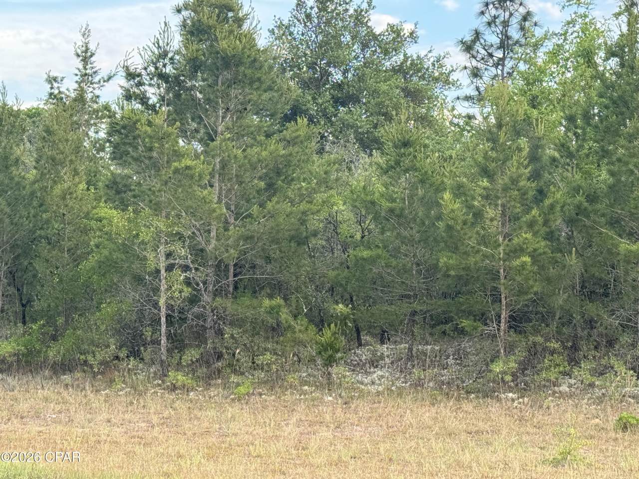 https://bt-photos.global.ssl.fastly.net/panamacity/1280_boomver_1_788888-2.jpg