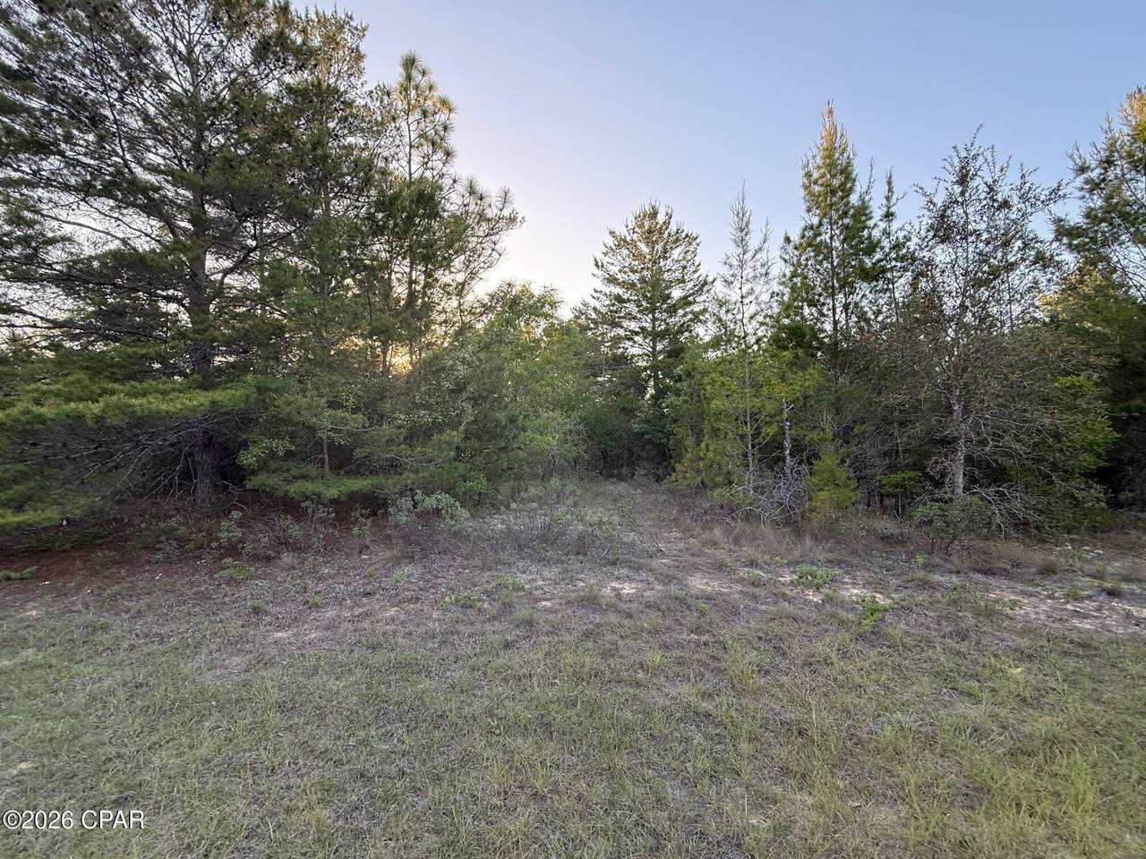 3970 Roseway Avenue - Photo 1