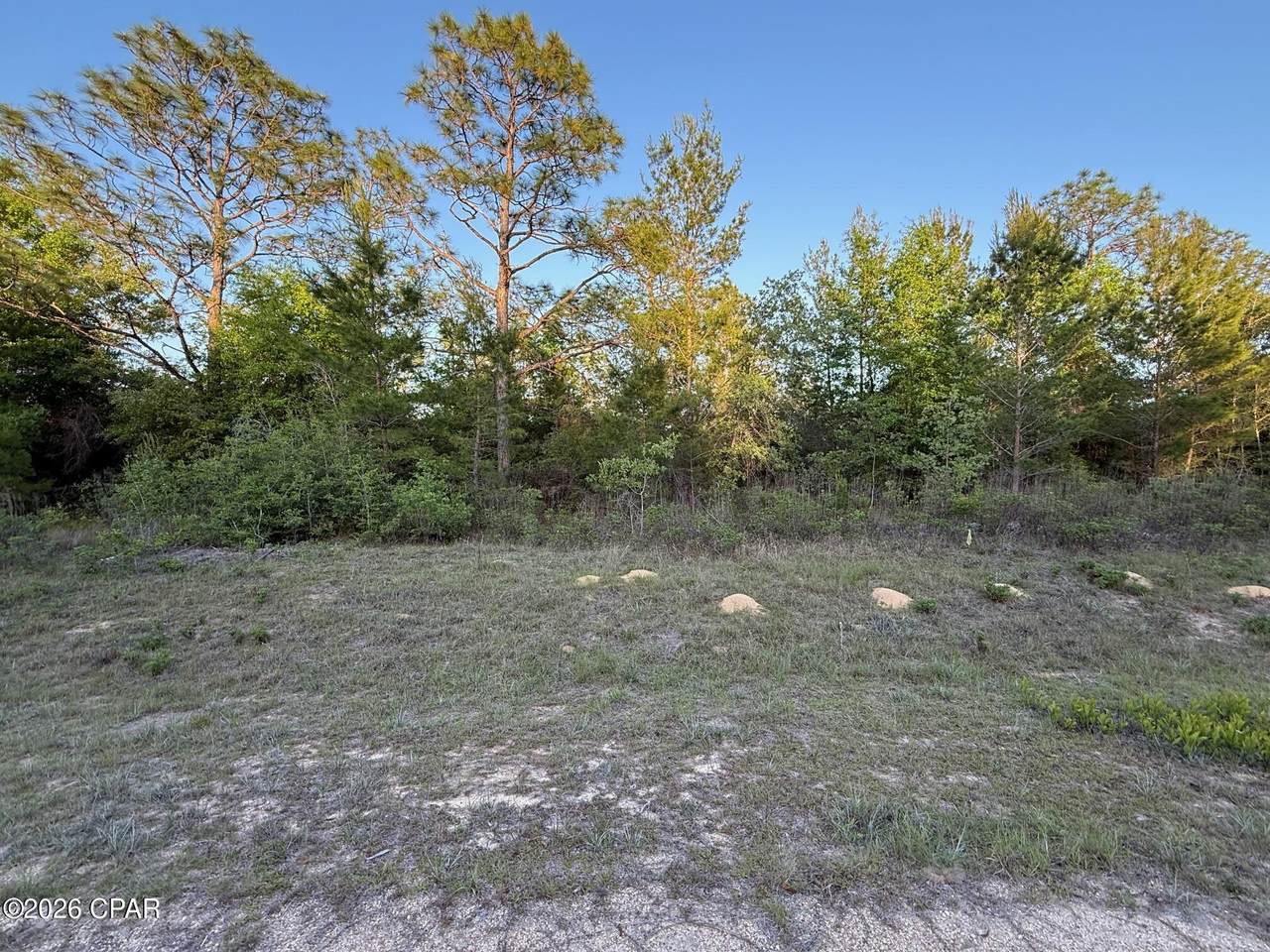 4131 Cambridge Drive - Photo 1