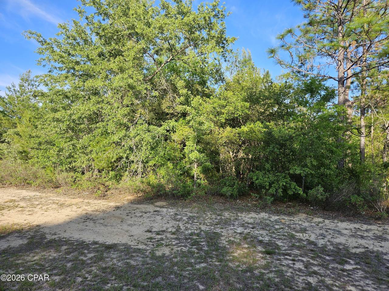 Lot 29 Concord Boulevard - Photo 1