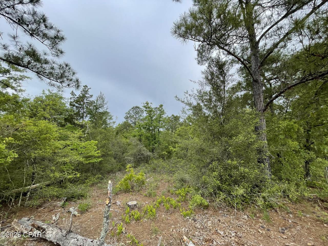 https://bt-photos.global.ssl.fastly.net/panamacity/1280_boomver_1_788933-2.jpg