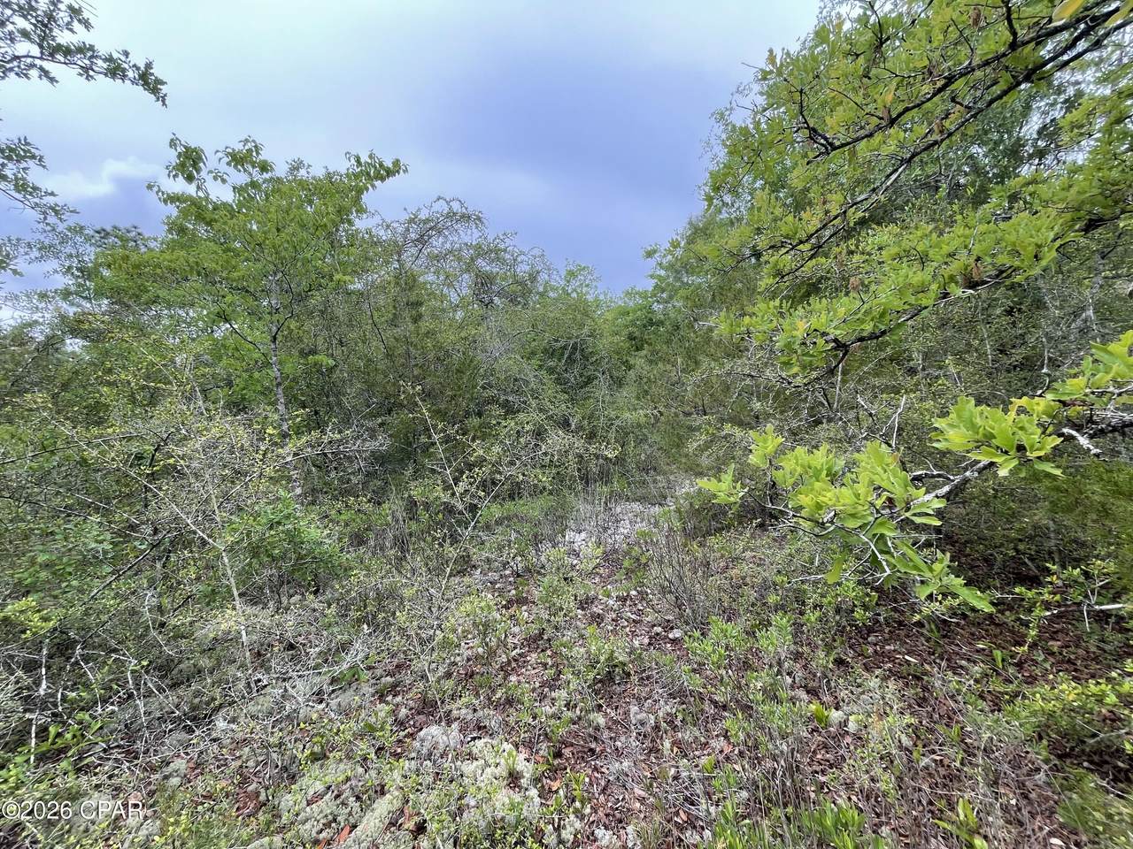 https://bt-photos.global.ssl.fastly.net/panamacity/1280_boomver_1_788933-2.jpg